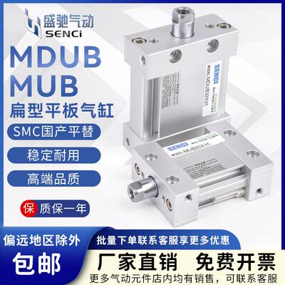 MUB扁型平板式气缸MDUB椭圆形活塞杆不旋转25/32/40/50/63带磁