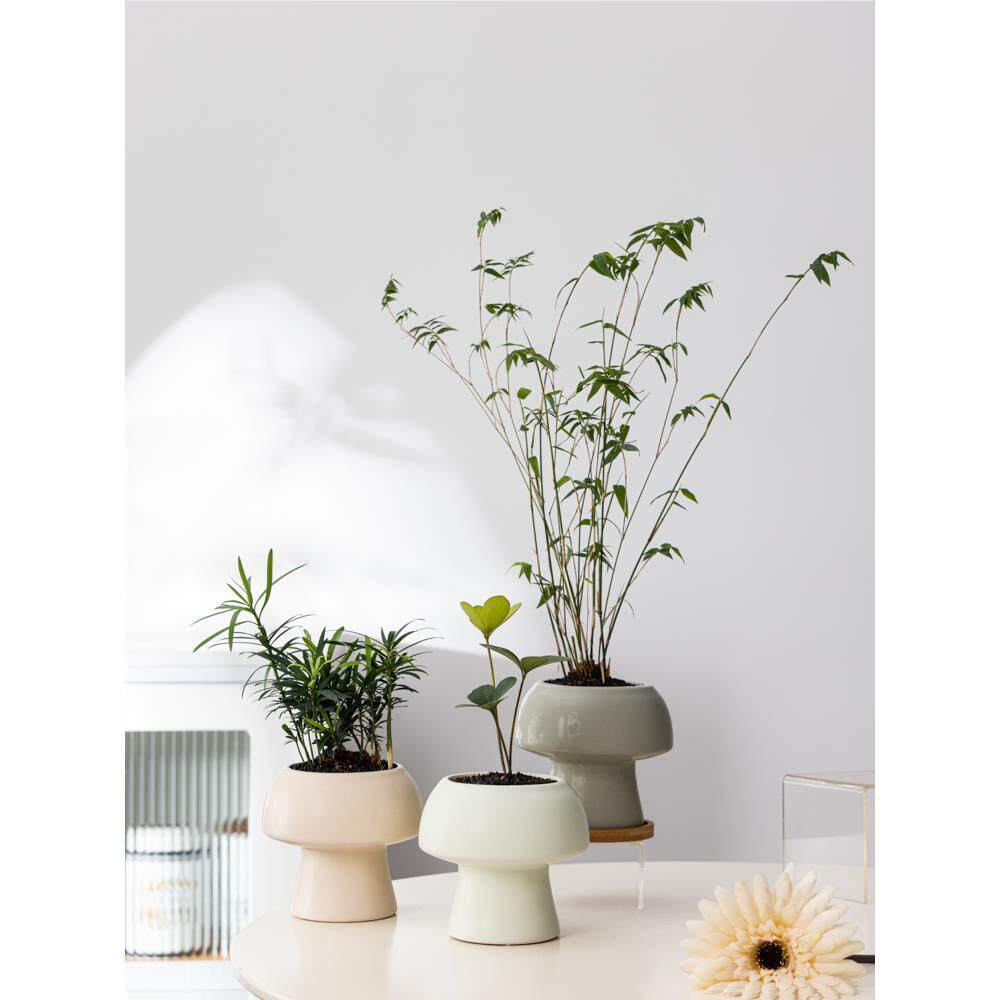 多肉花盆陶瓷彩色台球形26915北欧极简色纯色小清新阳六内装室饰