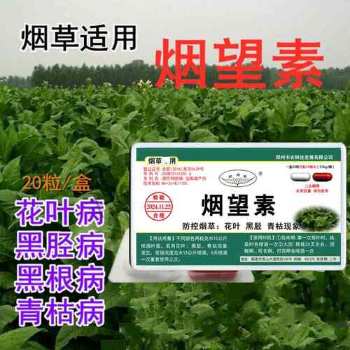 烟望素烟草专用叶面肥烤烟壮烟青枯病花叶病黑胫病黑根病农宝药