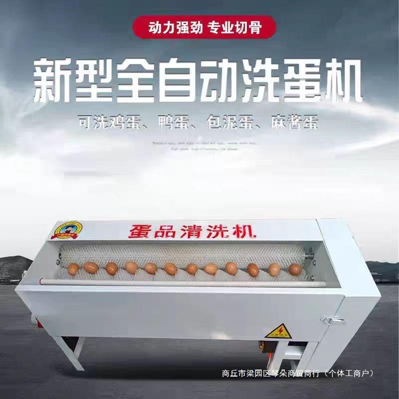 全自动商用小型洗蛋蛋品清洗机泥蛋麻酱蛋咸鸭蛋不锈钢鸡蛋清洗机