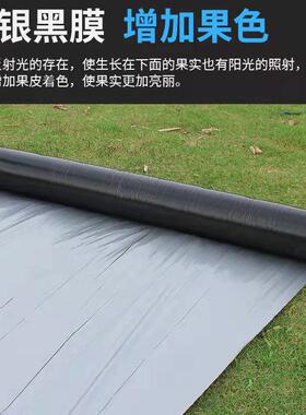 银黑色地膜用色反AIX光防虫除草银灰双农银黑膜农用地膜双加厚银