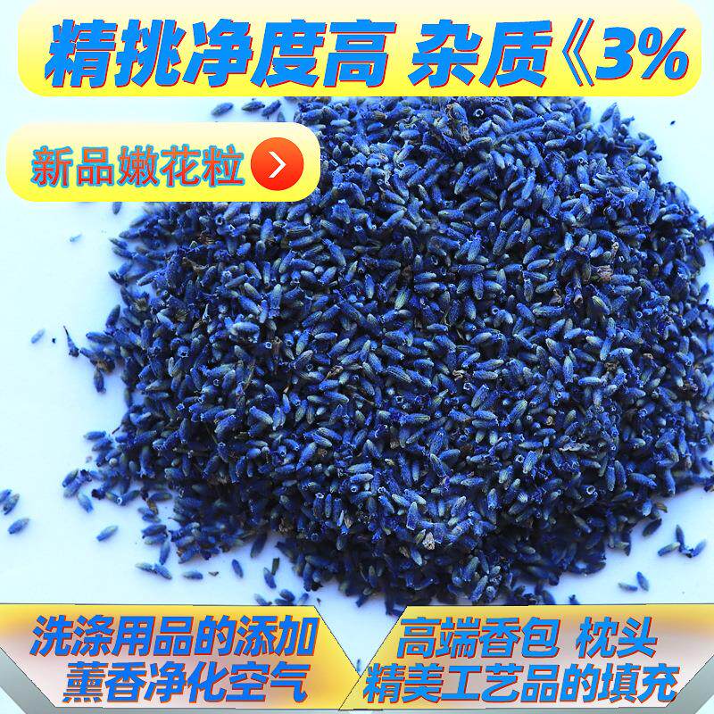 新疆伊犁直发薰衣草 干花薰衣草干花散装干净度高新货薰衣草