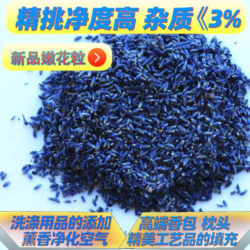 新疆伊犁直发薰衣草 干花薰衣草干花散装干净度高新货薰衣草