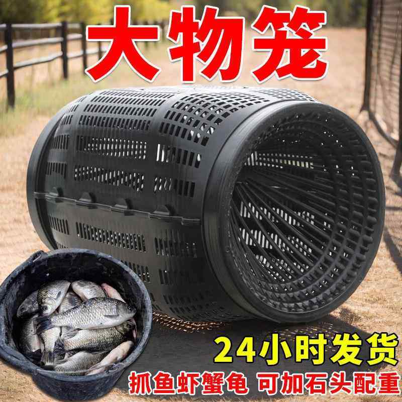 捕大鱼鱼笼折叠鱼网只进不出渔网黄鳝泥鳅虾笼龙虾网笼螃蟹捕鱼笼
