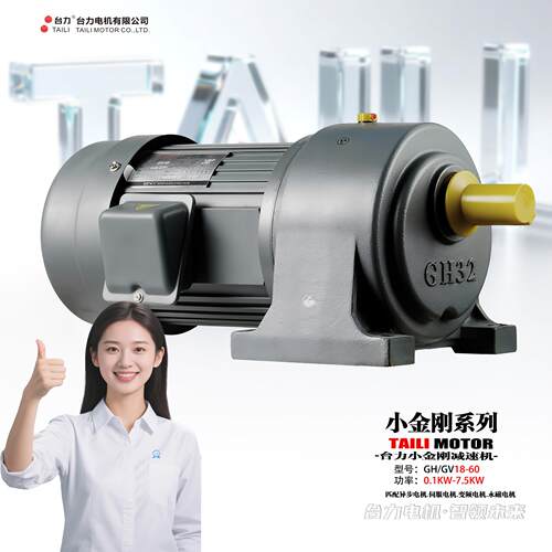 台力GH/GV齿轮减速电机变频调速马达硬齿面减速器200W/750W/7500W