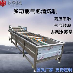 全自动气泡清洗机 红枣辣椒果蔬气泡清洗机 毛豆气泡清洗设备