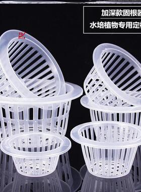 水培花盆内篮塑料水养植物控根定植篮种植篮绿萝吊兰器皿圆形