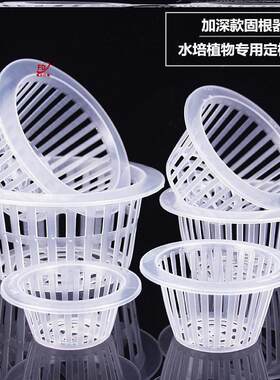 水培花盆内篮塑料水养植物控根定植篮种植篮绿萝吊兰器皿圆形