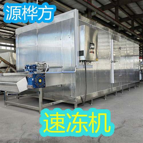 商用隧道式花生柠檬速冻机凤梨平板冻设备超低温零下45度