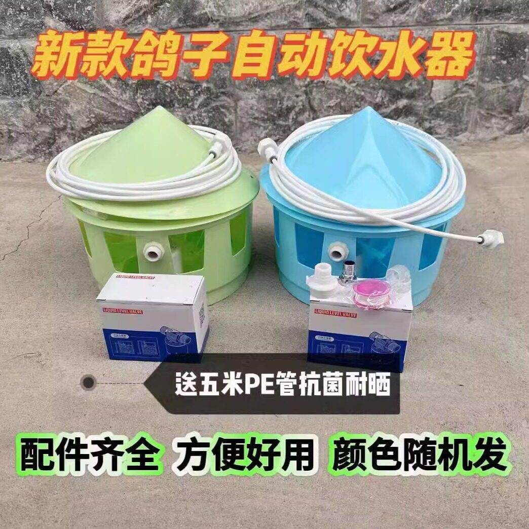 鸽子自动鸡鸭喂水器喂水壶斑鸠信鸽赛鸽观赏鸽鸽子饮水器用品用具