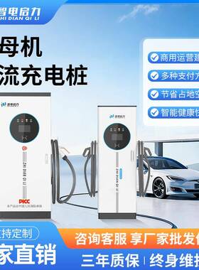 新能源快速充电桩160kw/240kw子母机充电桩直流充电桩源头厂家