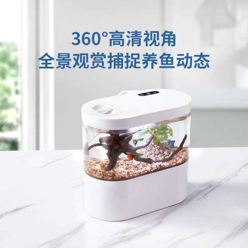 生态造景鱼缸水族箱桌面创意自循环金鱼缸迷你小型免换水家用鱼缸