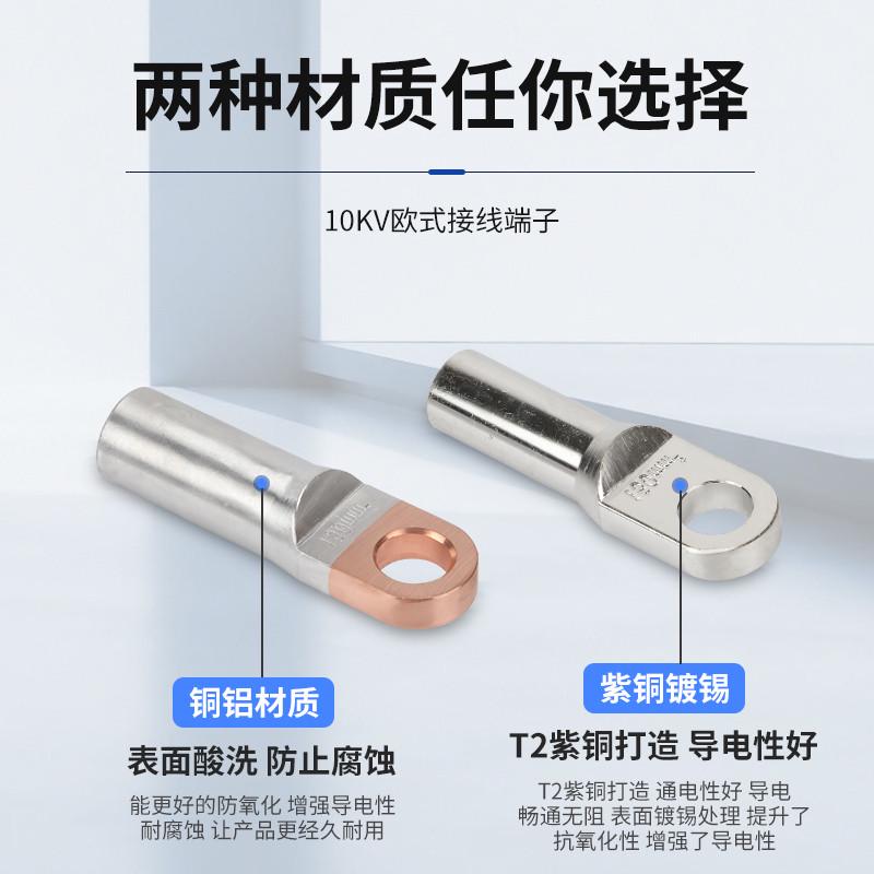 欧式铜端子OTD紫铜接线铜鼻子OTDL拔插头分支箱电缆接头120平方