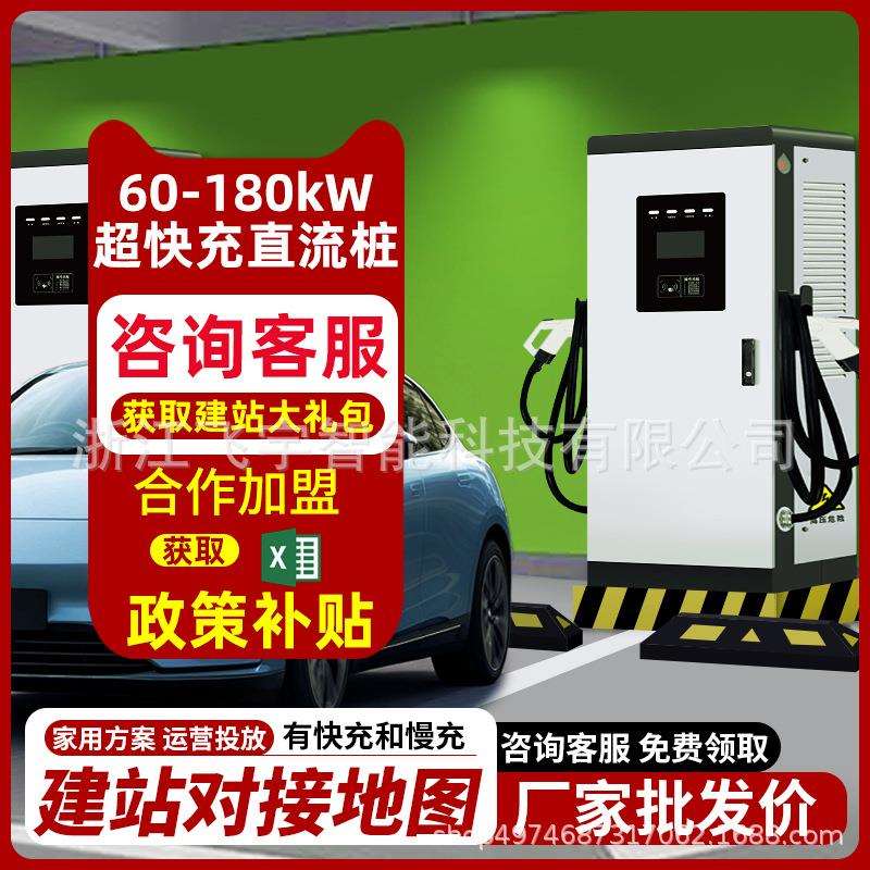 新能源汽车电车快充充电桩20/30/40/60/80/120kw9孔商用直流380V