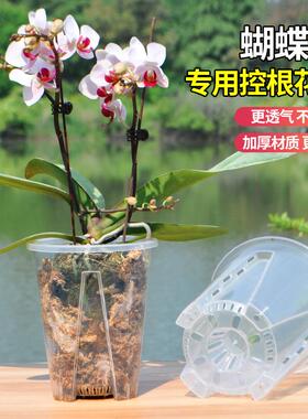 蝴蝶兰专用花盆空气柱透明青山盆特大号大口径塑料圆形桌面高花盆
