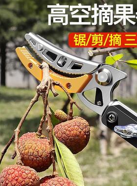 摘果剪修枝剪采摘高空剪摘荔枝伸缩加长摘枇杷龙眼摘水果剪高枝剪