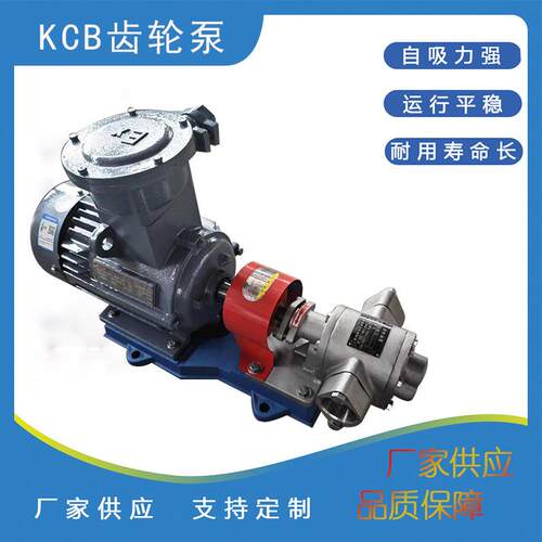 齿轮泵厂家现货供应KCB83.3不锈钢齿轮泵防爆齿轮泵化工泵