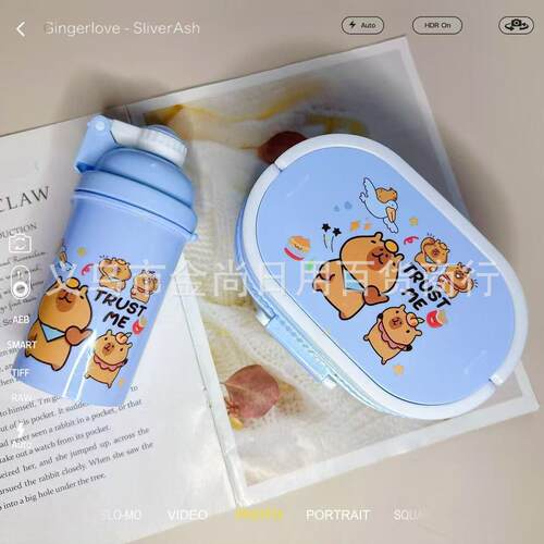 Capibara Animal Solid Color Plastic Cute Lunch Box Set for B