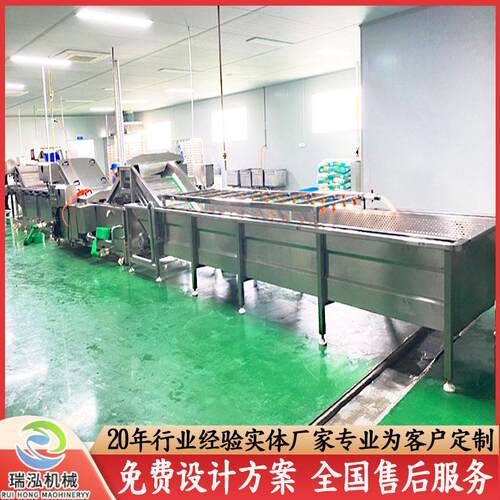 雪菜加工流水线设备 商用连续式雪里蕻清洗机 梅干菜脱盐清洗机