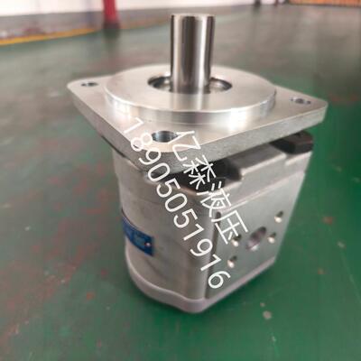 合肥赛源SY齿轮泵CBG-2063-BFHL长源型液压泵高压大排量齿轮油泵