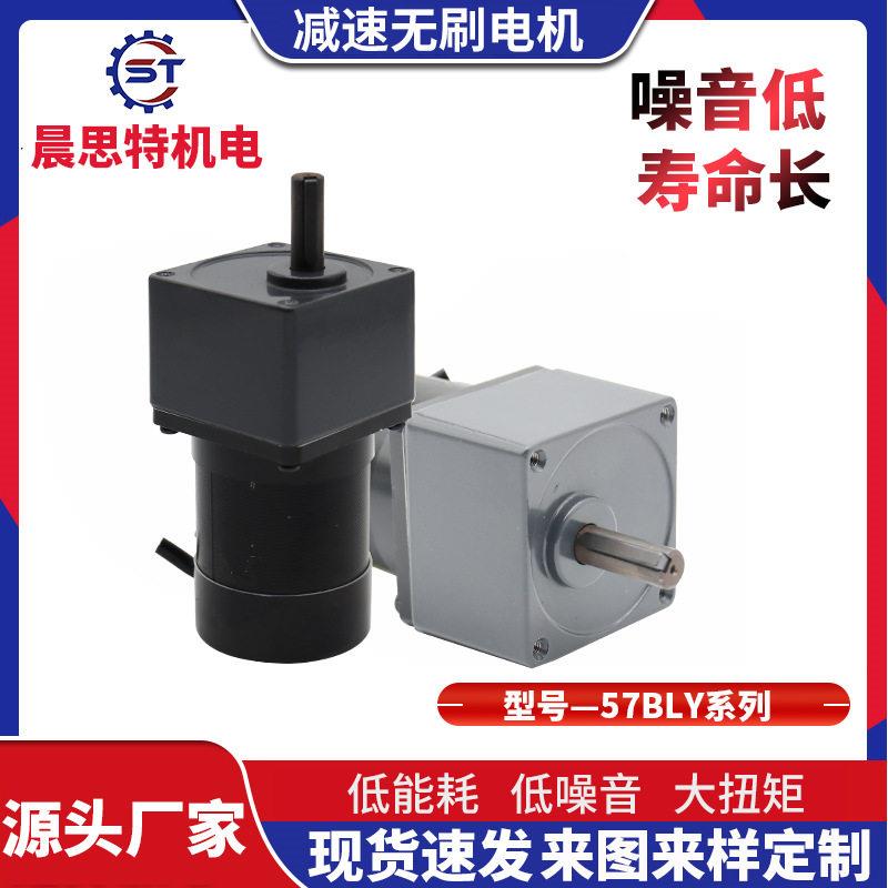 微型速电机直流有刷小马达机器人电动工具小型电机马达