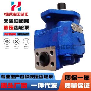 G10NKG G16X G16182LD液压泵 G10182LD 泊姆克PERMCO齿轮泵P124