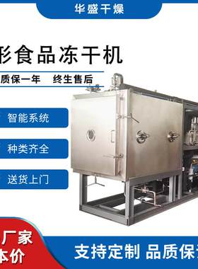 干燥不锈钢FD超低温食品冻干机咖啡奶粉茶叶真空冻干设备
