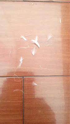 鸿润95%白鹅羽绒被怎么样值得入手吗？讲讲看