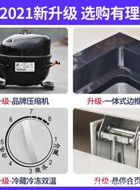 用冰柜大量冷藏柜冷鲜冻柜雪糕鱼容丸火商锅海双温速冻柜542家用