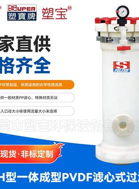 DKH型一体成型PVDF滤芯式过滤器食品饮料精度过滤水处理过滤机
