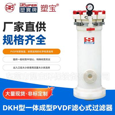 DKH型一体成型PVDF滤芯式过滤器食品饮料精度过滤水处理过滤机