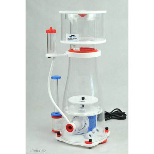 小丑-过滤器内置式分离器批发b9批发海水鱼零售水族箱蛋白质bm