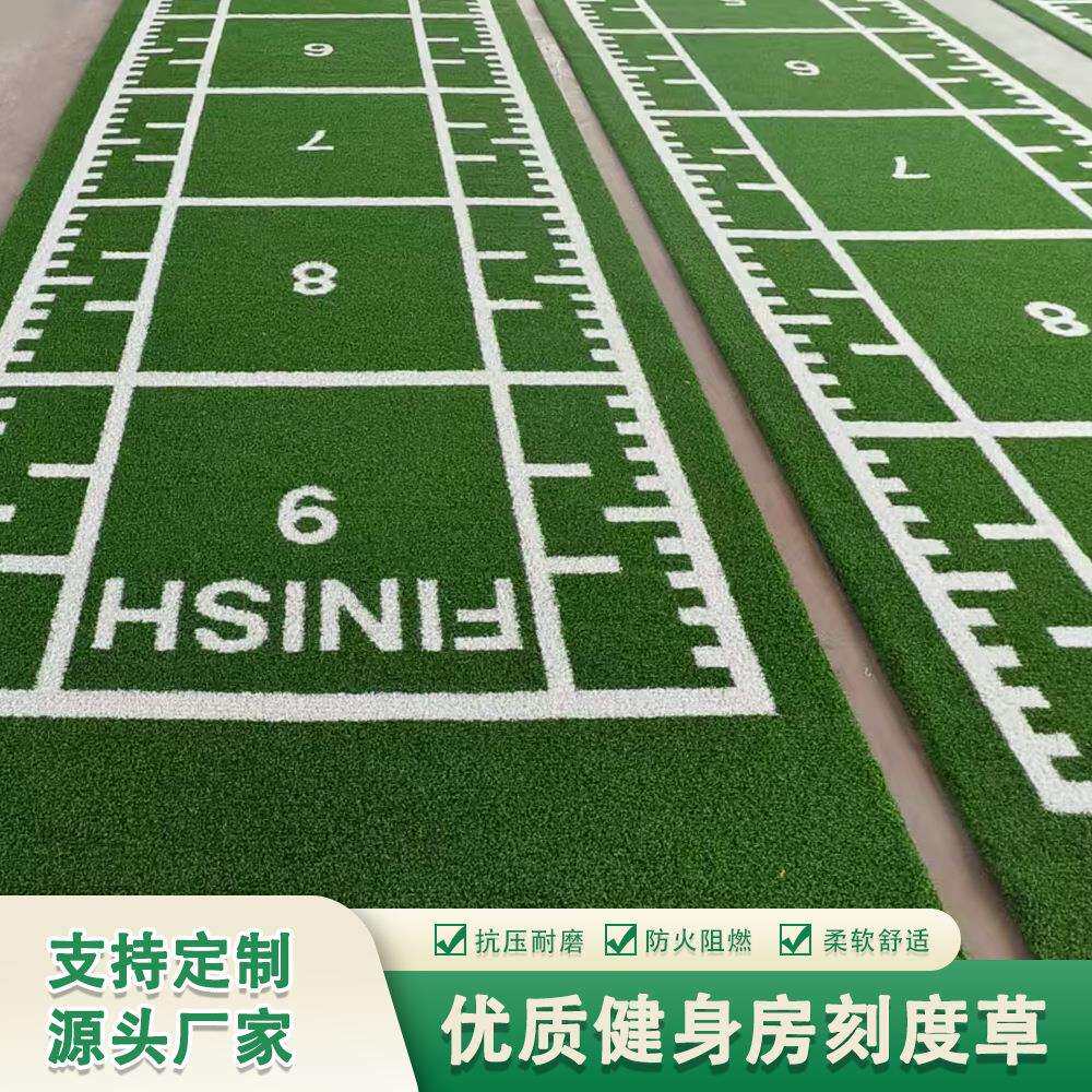 室内健身房 草坪地毯 功能性减震草坪刻度草坪图案仿真人造草坪