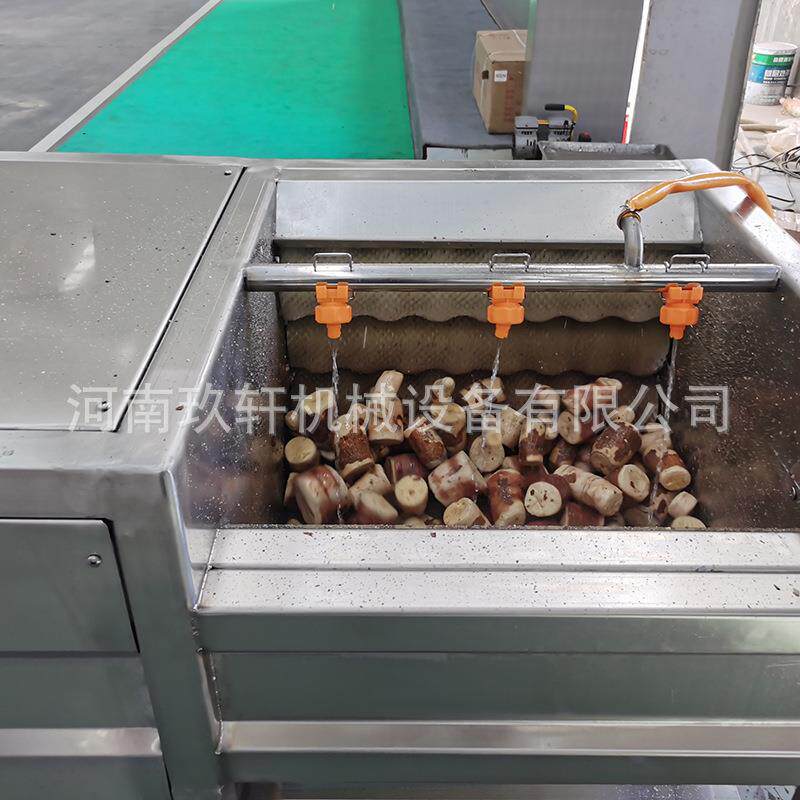 果蔬毛辊清洗机根茎类果蔬中药材清洗去泥机
