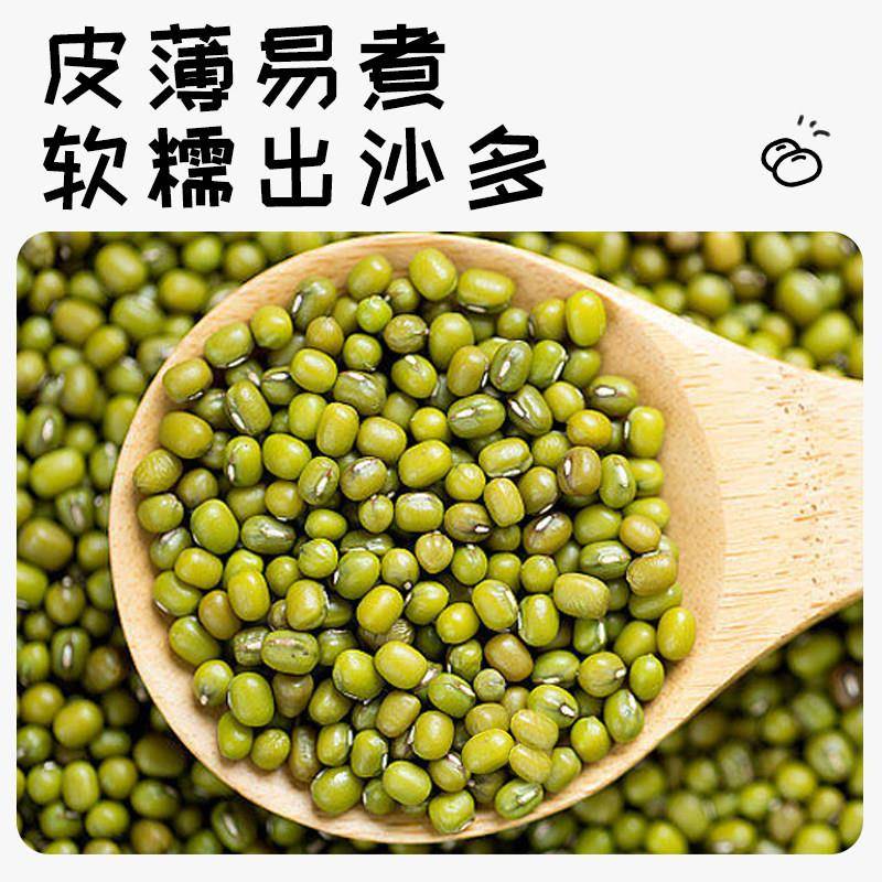 赤川赤峰绿豆新货农家袋装颗粒饱满绿豆粥绿豆汤材料5斤