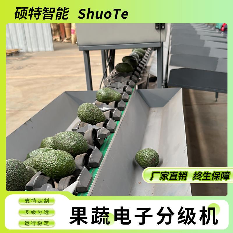 苹果水果分选机 脆柿称重选果机 百香果重量分级设备 青枣分拣机