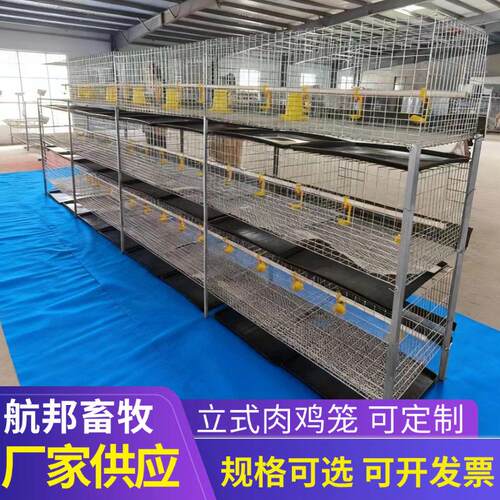 养鸡场镀锌立式肉鸡笼厂家供应三层鸡笼层叠式含托粪盘塑料网水箱
