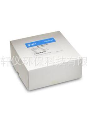 10600100 GE Whatman PVDF蛋白质疏水印迹膜用于剥离和反复检测