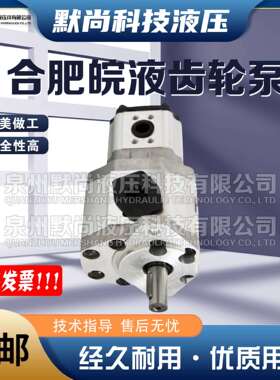 合肥赛源齿轮泵CBQTF-F550/F416 F550/F420 F540/F416-AFHR双联泵