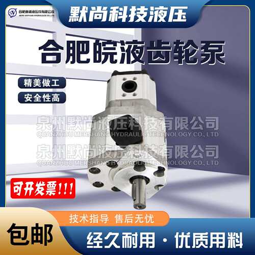 合肥赛源齿轮泵CBQTF-F550/F416 F550/F420 F540/F416-AFHR双联泵