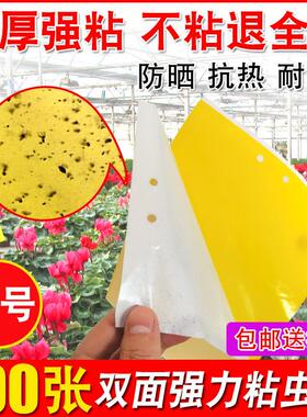 粘虫板黄板诱虫板纸贴双面黄色沾黏蚊子杀黑虫胶灭小飞虫果蝇大棚
