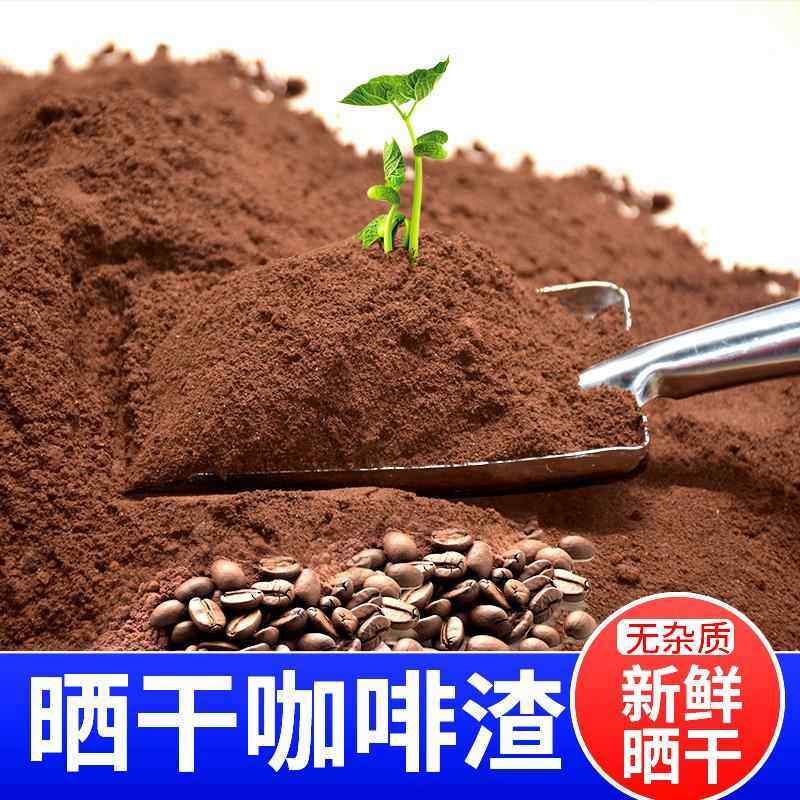 咖啡渣除味 新房去甲醛 除异味烟灰缸灭烟除臭活性炭包磨砂膏干渣