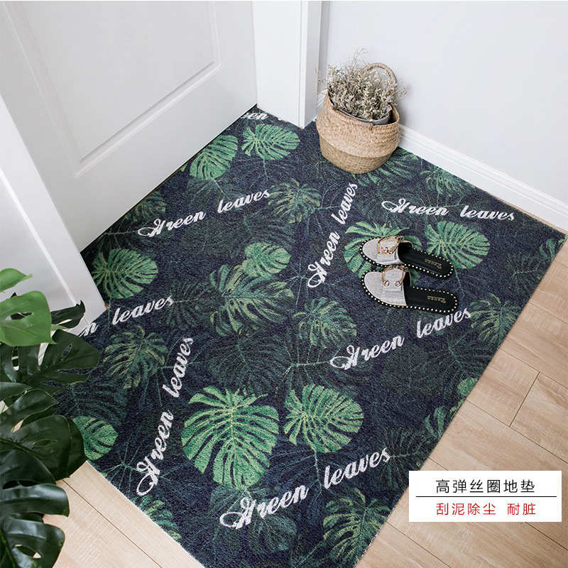 地垫门垫门口进门防滑脚垫门厅塑料地毯丝圈地垫无压边可裁剪-1+