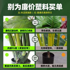 大型热带假树仿真树室内家居落地盆栽造景景观装饰绿帝王植物盆栽