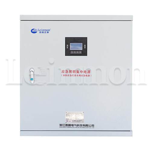 应急照明集中电源配电箱LM-D-·1.5KVA DC24V 60分钟智能疏散指示