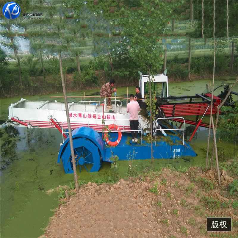 小徽型绿藻打捞船 全自机动割草船 水面KD-100水草清理械安设备定