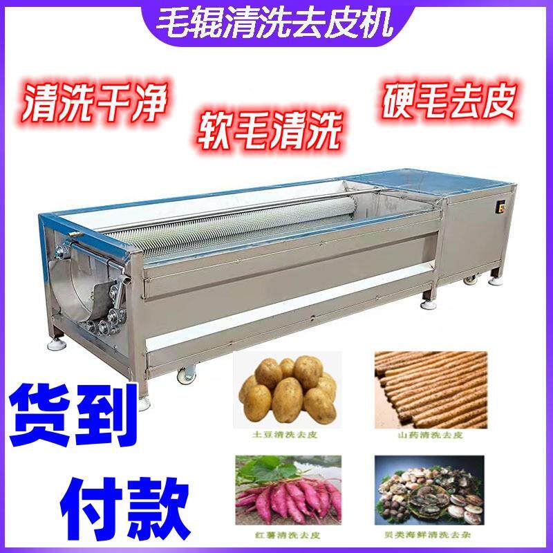 红薯毛辊清洗机山药莲藕去皮去泥清洗设备根茎类胡萝卜清洗机