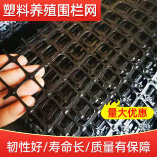 筋鸡舍网格围墙固供应格栅圈地路基塑料网公土工路加厂家围网