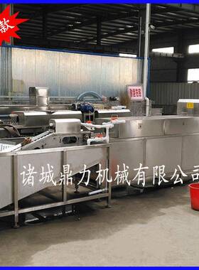 双排洗蛋机全自动洗蛋机诸城鼎力机械鸭蛋清洗设备洗蛋设备