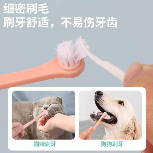 宠物牙刷 猫狗清洁牙刷 猫咪小狗口腔清洁工具尼龙丝牙刷厂家